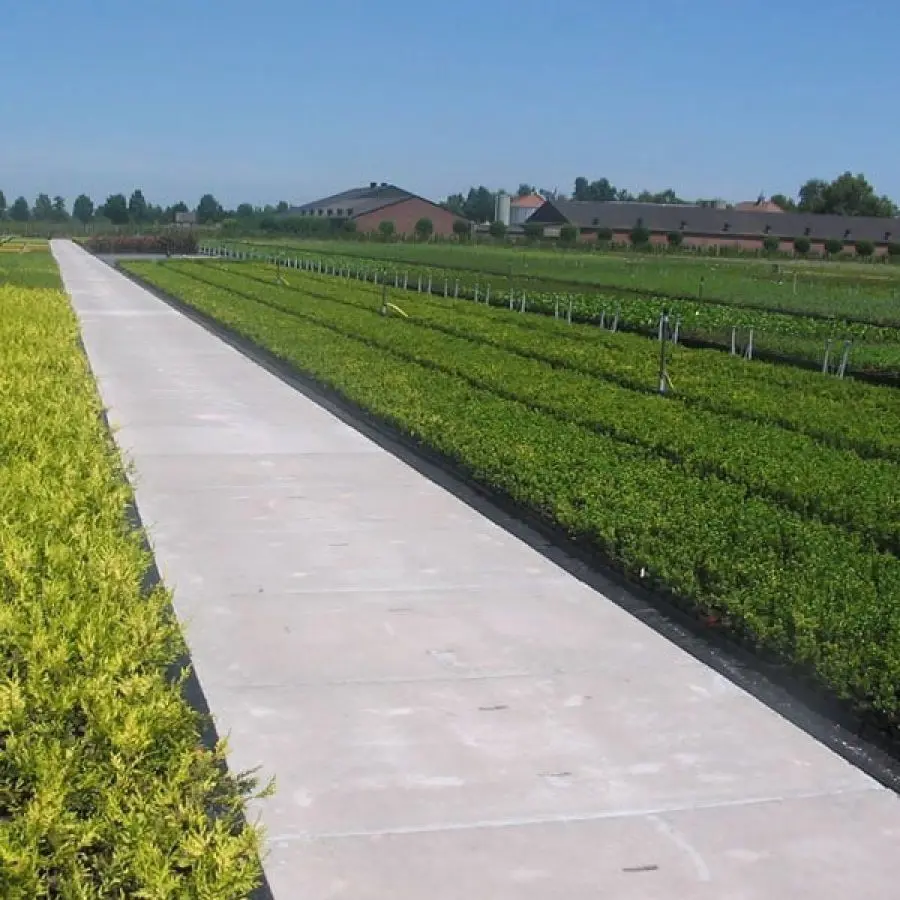 22bc7881-e573-4289-be66-063f989de3f7-produkte_ground-agricon_01-qrtnmnsey5qns2qby01uyei2ploq5hyj6f2zt9a04o conv.jpg