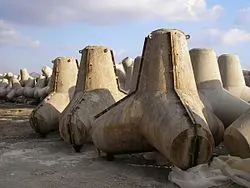 045defe8-ede5-480d-8fbf-2aae623fe516-250px-Tetrapoden_in_Gussform conv.jpg