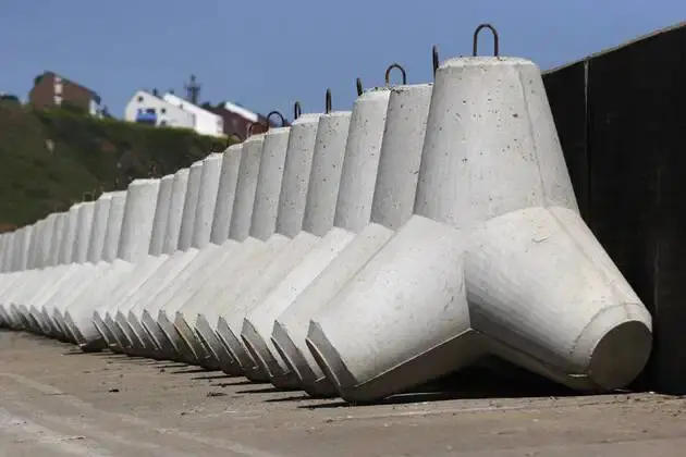 866f2e89-4646-4892-8030-e7fe46a305d5-s conv.jpg