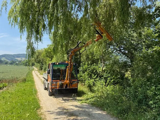 1bfe8c7f-6bb2-4da2-af75-2fd696c318eb-Böschungsmäher _6.jpg